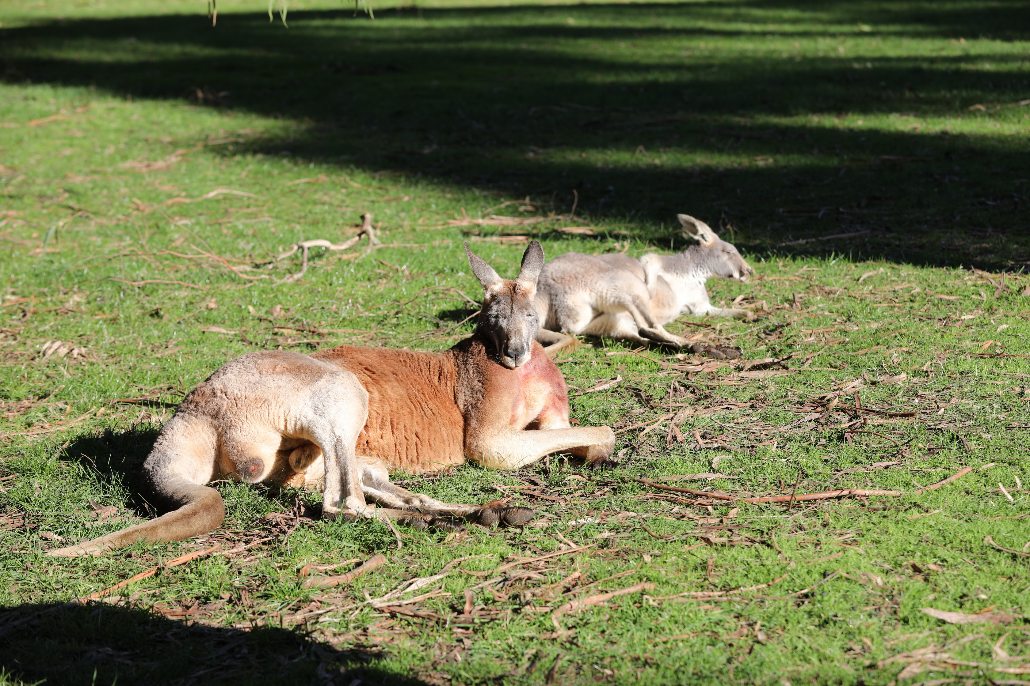 2019 07 19 15 24 21 Canon EOS 5D Mark IV 0038